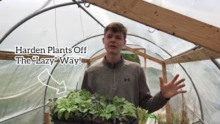 Acclimating Plants The Easy Way! A Gardeners Guide To Hardening Off!