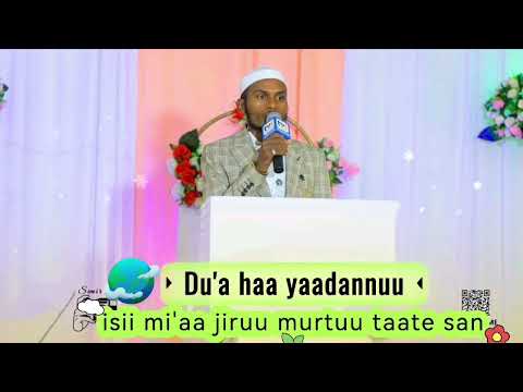 Mee Yeroo Takka Gorsa Gabaabaa Du A Yaadachuu Jedhu Kanaan Booharaa Lubbuu Teenyas Haa Of Yaada