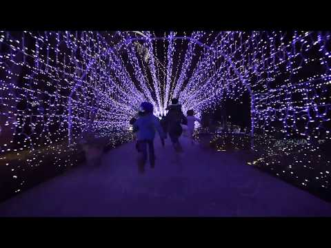 Shota - Yakei-Night view-