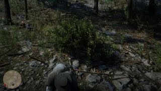 Arthur and i hate Murfrees