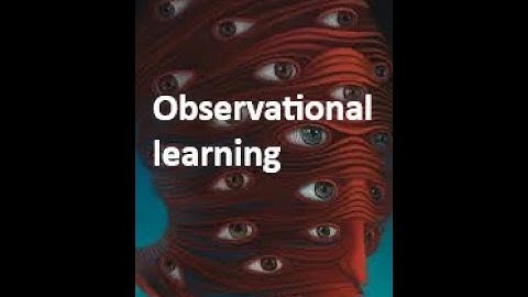 Observational learning