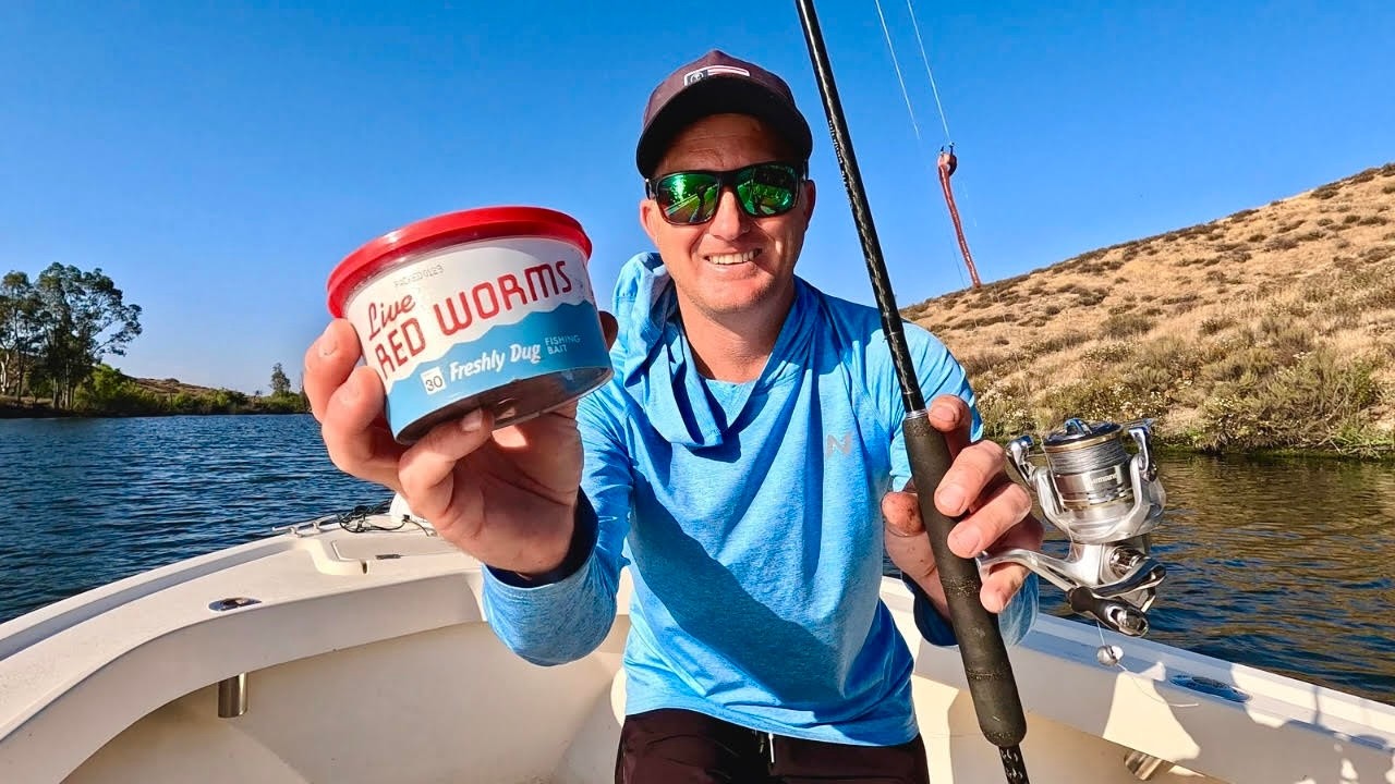 I Bought  Worms From Walmart And Went Fishing