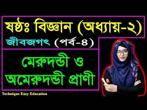 ভিডিও: সমস্ত প্রাণী ভাগ করে নেওয়া চারটি মূল বৈশিষ্ট্য কী কী?