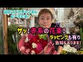 【花束】今回は赤系の花束作ります！ガーベラが豪華で存在力抜群！大事な告知もあるのでよろしくお願いします！#372