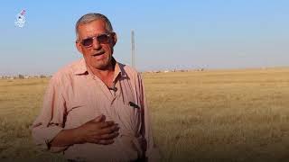 يقول احد المزارعين : بدأنا بحصاد الشعير في الحمدانية قبل 3ايام علما انه رطب خوفا من الحرائق في نينوى