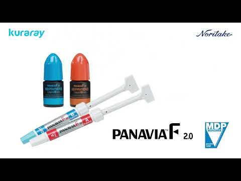 PANAVIA™ F 2.0