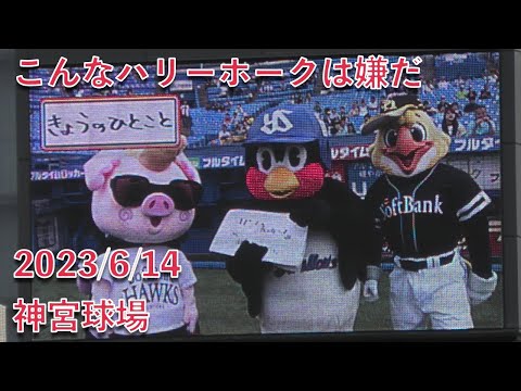つば九郎、こんなハリーホークは嫌だw 2023/6/14 今日の一言より