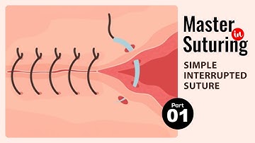 Simple Interrupted Suture - Learn Suturing Technique | Part 1