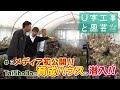 U字工事と園芸　#03