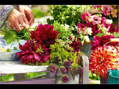 ისნის მეტროსთან ყოველ შაბათს იმართება-ყვავილების გამოფენა გაყიდვა./LADO$VIDEO/-T.593165823.