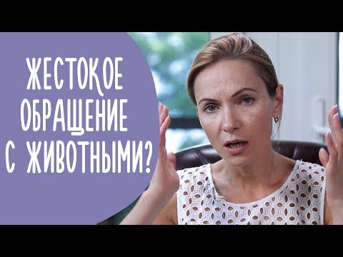 Вопрос: Как ребенку справиться с жестоким обращением в семье?