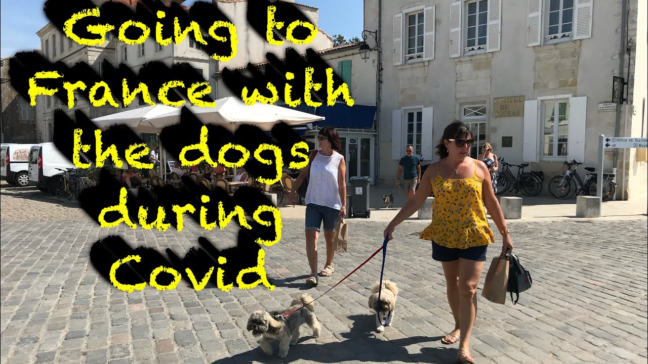 Can You Travel To France With A Dog