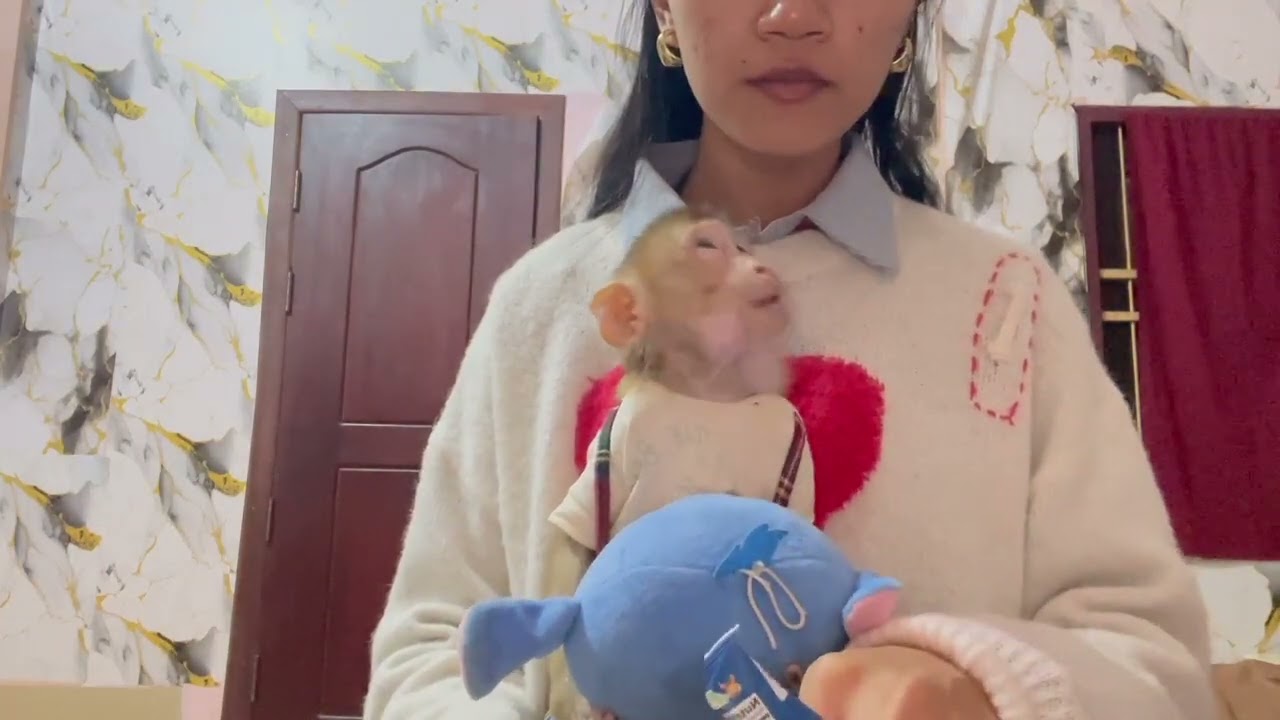 Jasmine look at to so0rii mom when her mom too much anqrrii with her