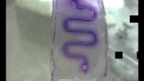 Engineering a 3D vascular network in hydrogel for mimicking a nephron