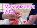 Максимовка 2021. Часть первая. В ежовых объятьях Поди.#рыбалка в Приморье#рыбалка на Максимовке