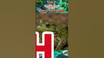 loài ếch nguy hiểm nhất #animals #animal #shorts #dangerous #facts #funny #happy #dongvat