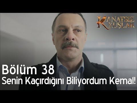 Kanatsız Kuşlar 38. Bölüm - Muzaffer, Nefise'yi Kemal'in kaçırdığını öğreniyor!