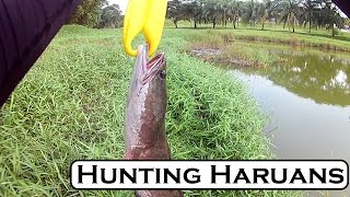 Hunting Haruans screenshot 2