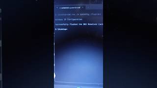 Famous 4 Ways to Flush the DNS Cache on Windows 11 Profile