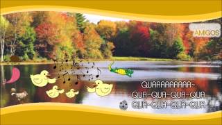 Quarteto Amigos-  Musica dos Patos-   Infantil