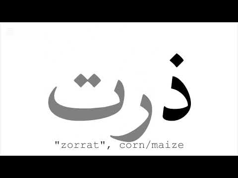 Lesson No. 14 // ذ