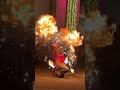 Фаер шоу "Ясне сонце" на масницю на ВДНГ Київ #шоунасвято #вогнянешоу #фаершоу #шоупрограма