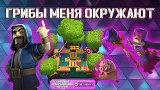 ПОДНЯЛ НОВУЮ АРЕНУ И ПРОКАЧАЛ КАРТЫ ПРОЕКТ СПЕЛБЕЙТ #5 / Clash Royale