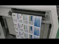 Nice label printing by VP320C digital label printing machine