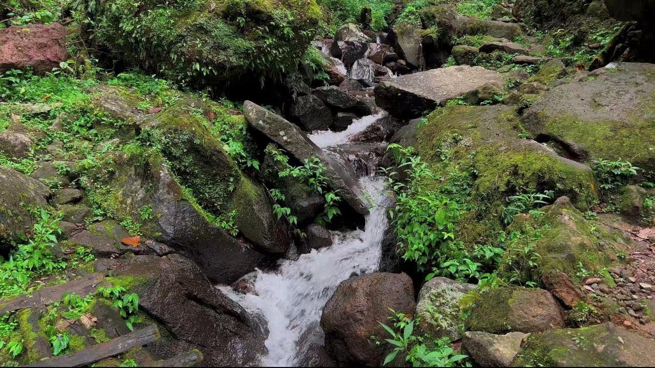 4K-HDR | Soothing River Sounds for Peaceful Sleep & Calm Mind | Nature Water Ambience for Healing