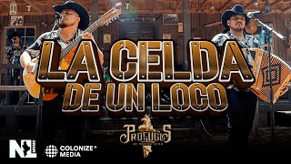 Prófugos de Nuevo León - La Celda De Un Loco (En Vivo)