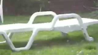 Basenji Pit Bull Mix Plays Squeaky Ball
