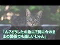 【スカッとする話】３０歳手前で彼氏は汚女と唾液を絡め粘着〇を激しく立てて後背位S〇Xに励んでいたので私は…