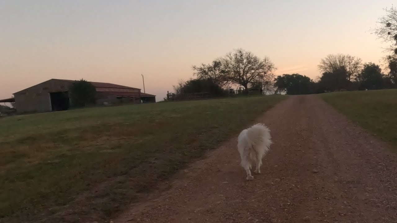 Chia sẻ về miếng đất này | Let talk a little about Paradise Ranch