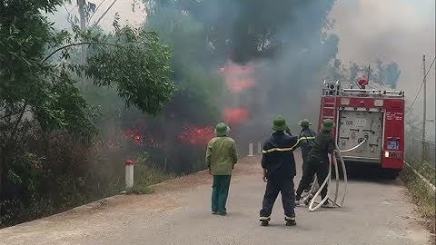 Tin Đc Ko -  Nghệ An: Tham gia chữa cháy rừng, một phụ nữ tử vong