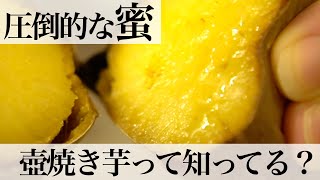 【Daily vlog】壺焼き芋を買いに行ったら圧倒的な「蜜」だった❗️#仙台 #蜜芋