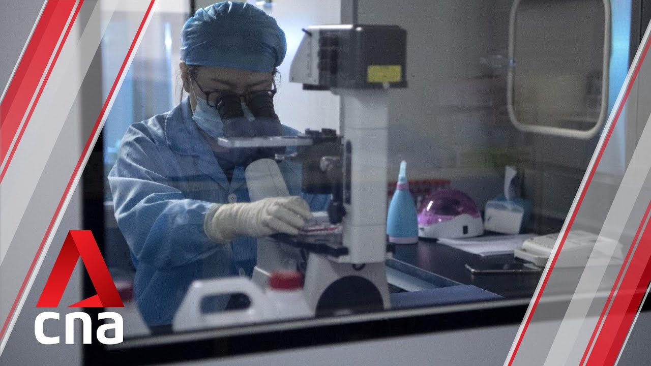 Wuhan virus outbreak: Trump offers US help to China