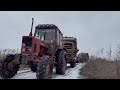 Заготовка дров на схід України мтз82 мтз80