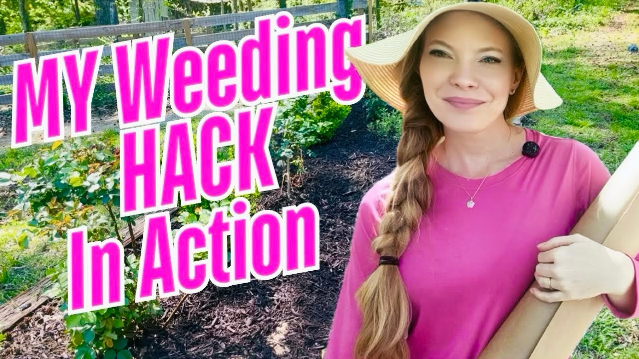 Using My Secret Weed Busting Hack In the Rose Garden And Side Flowerbed
