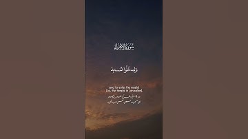 إن أحسنتم أحسنتم لأنفسكم الآية #القرآن_الكريم #قرآن #القران_الكريم #اكسبلور #راحة_نفسية #ترند
