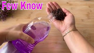 Mix cloves with floor cleaner 😱  you will not believe the incredible result Thumb