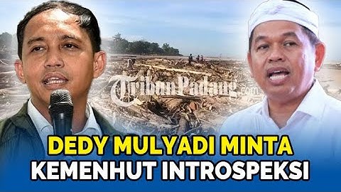 🔴Dedi Mulyadi Sentil Kementerian Kehutanan soal Pohon Tumbang Massal, Raja Juli Akui Penebangan Liar