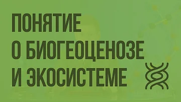 Что понимается под Биогеоценозом ПО в н сукачеву )