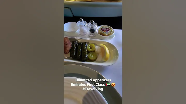 Appetizers or Art? Emirates First Class Dubai to Miami! #TravelVlog #Travel #Food #Islam #Muslim