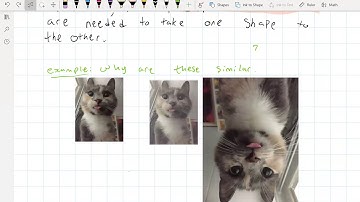 14.6 Dilation and Similarity