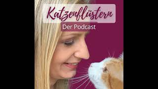 Podcast #36: Wie du herausfordernde Situationen mit deiner Katze löst by Jessica Koß - Katzenflüstern 40 views 7 months ago 18 minutes