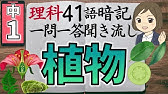 中学１年理科 一問一答式問題集 植物のなかまとつくり Youtube