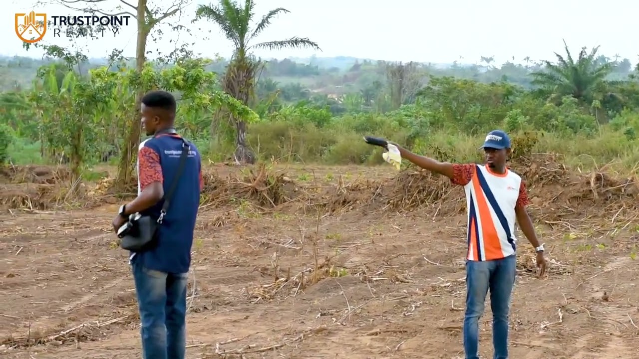 🎉 First Allocation Success of the Year – Avocado Crest Estate 🏡