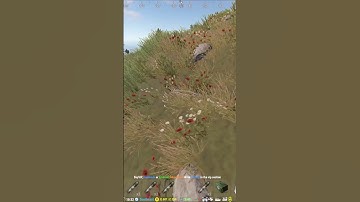 rust legal cheat  #rust #rusthighlights #highlights #rustgame #shorts