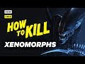 How to Kill Xenomorphs | NowThis Nerd