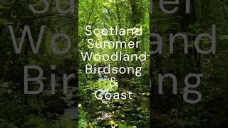 Scottish summer woodland &amp; coast #short